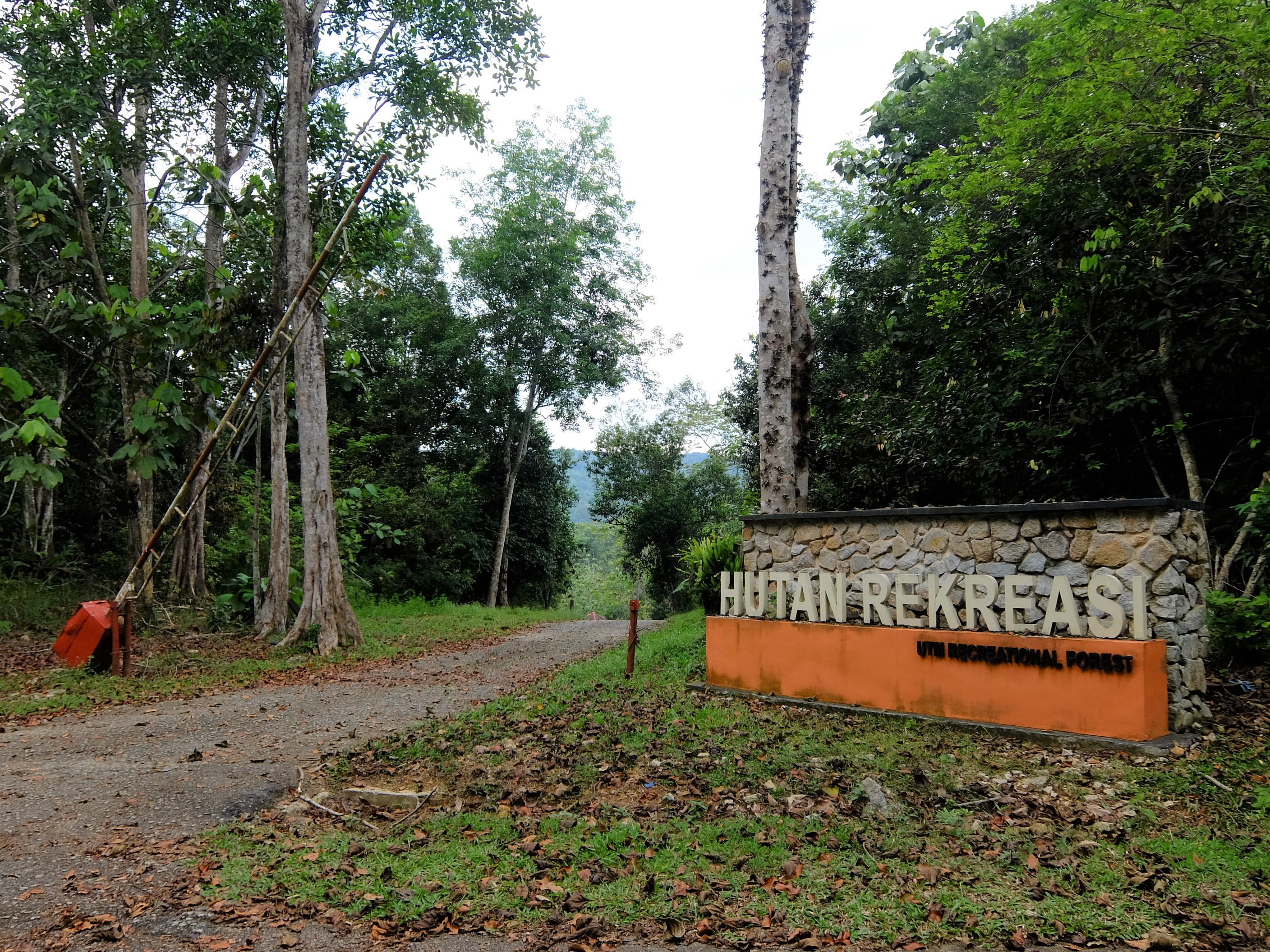 UTM Recreational Forest